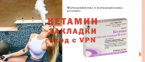 гидра Няндома