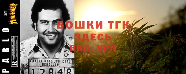 гидра Няндома