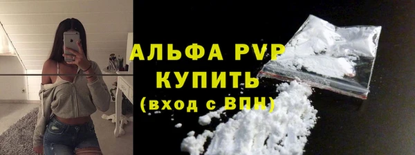 гидра Няндома