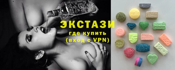 гидра Няндома