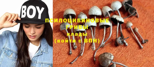 гидра Няндома