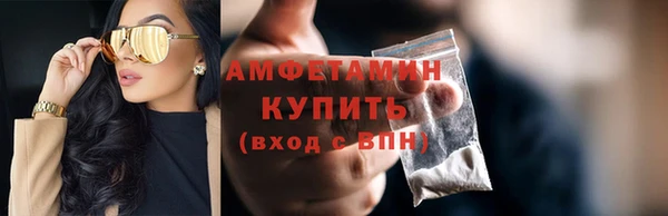 гидра Няндома