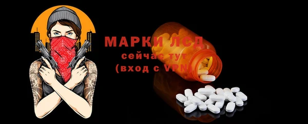 гидра Няндома