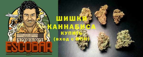 гидра Няндома