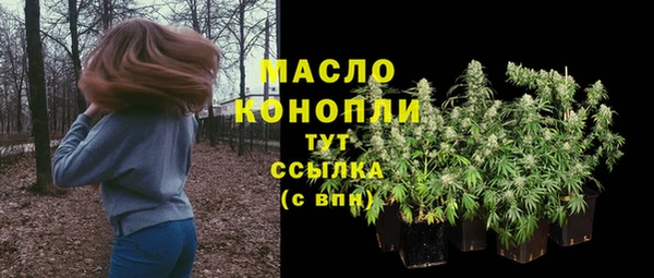 гидра Няндома