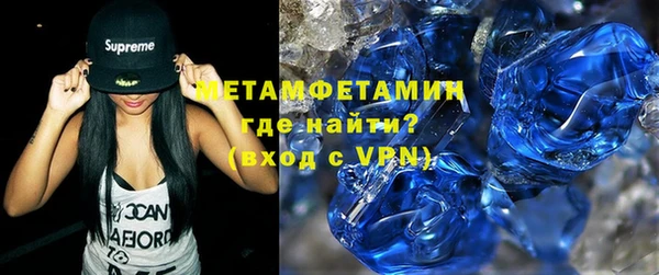 гидра Няндома