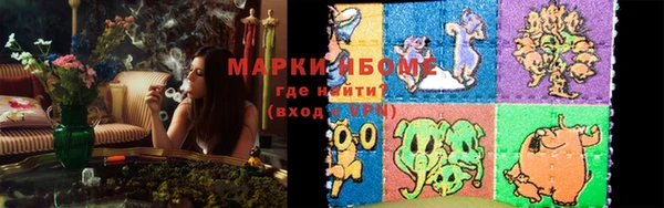 гидра Няндома