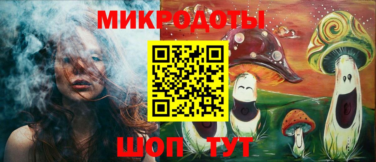 Сланцы  Псилоцибиновые грибы Psilocybe  Вход с VPN  Псилоцибиновые грибы Magic Shrooms 