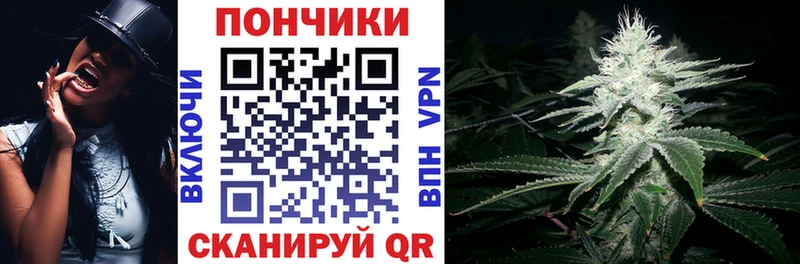 Марихуана Bruce Banner  Сланцы 
